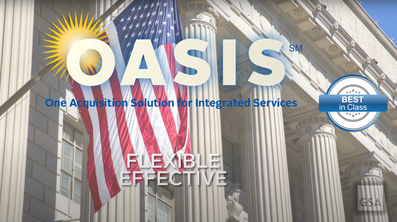 Oasis Consultants LLC, Business service